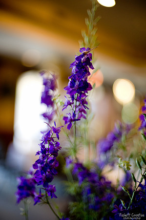 2011-5 Heather and Mike Wedding-5022