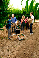 2011-5 Schnepf Farms Whole Foods Shoot-2469