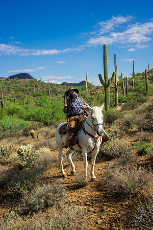 Spur Cross Stables-3-29
