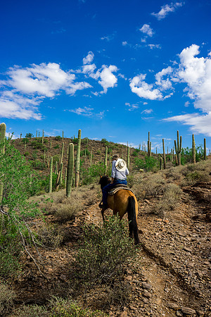 Spur Cross Stables-3-55