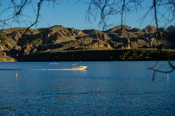 Saguaro Lake
