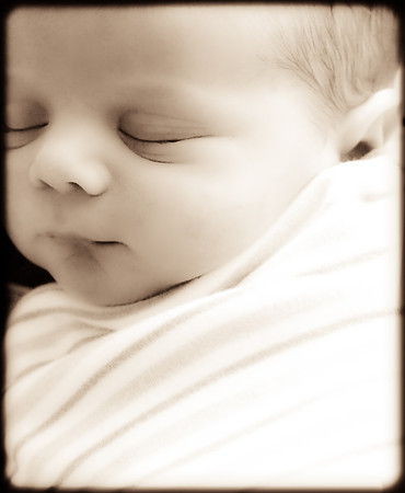 Foskett Creative Photography --3