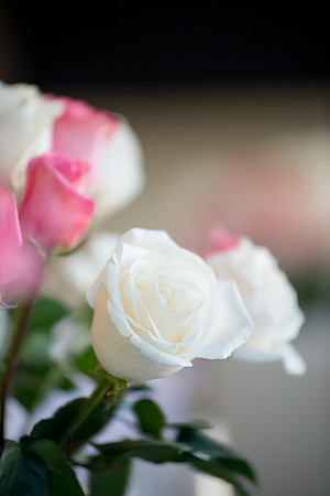 2013-10 FoskettCreative.com-404