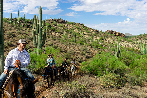 Spur Cross Stables-3-45