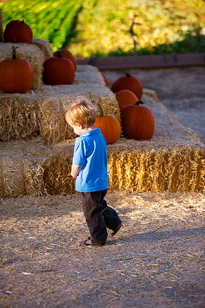 2011 Foskett Creative-0987