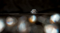 FoskettCreative2014-8--7