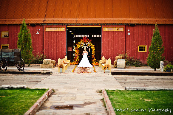 Foskett Creative Photography -493