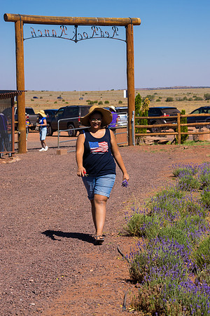 Lavendar Festival