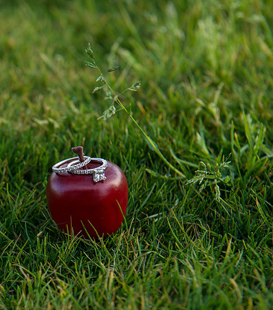 2014-2 FoskettCreative.com-538