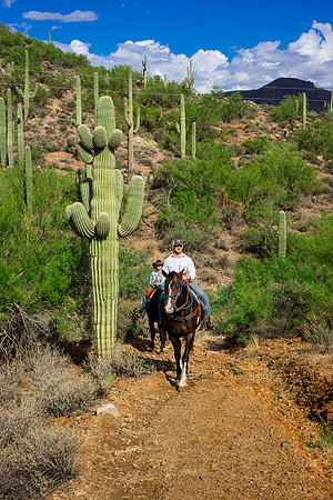 Spur Cross Stables-3-20