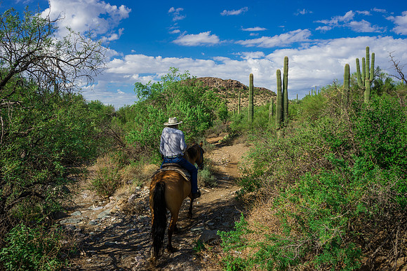 Spur Cross Stables-3-16