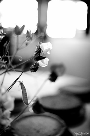 2011-5 Heather and Mike Wedding-5058
