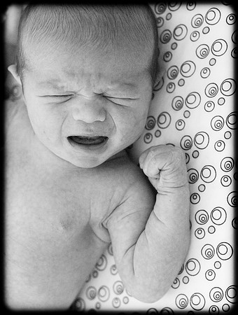 Foskett Creative Photography -288
