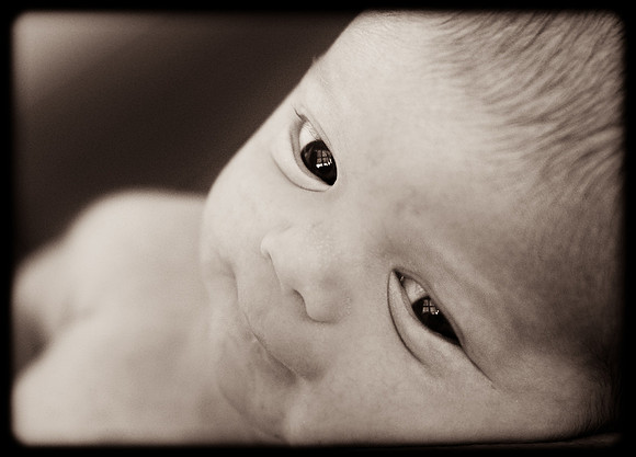 Foskett Creative Photography -12