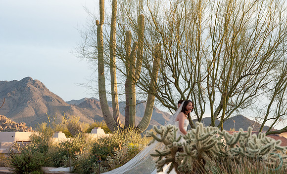 2012 Foskett Creative-506