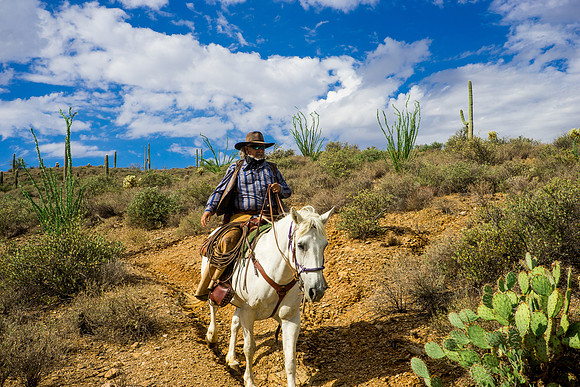 Spur Cross Stables-3-85