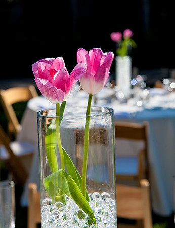 2012-5 Foskett Creative-3349