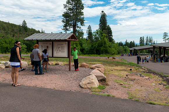 Tonto Creek Fish Hatchery-554