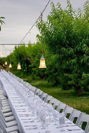 Schnepf Farms
