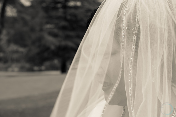 2012 Foskett Creative-0125