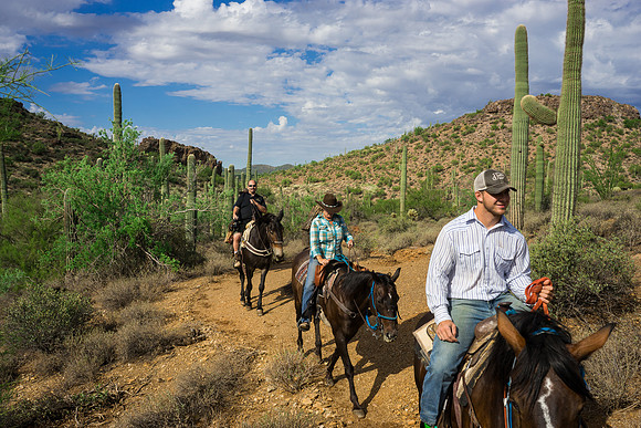 Spur Cross Stables-3-39