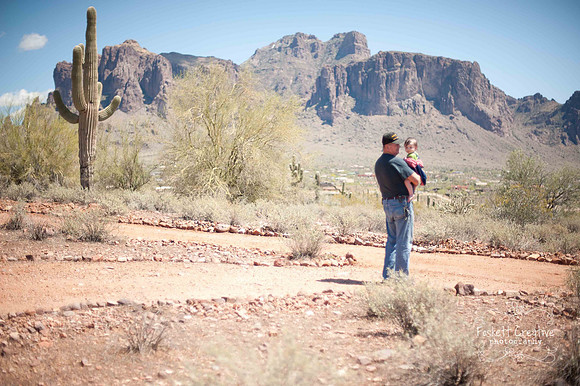2011-4 Mesa CVB-2155