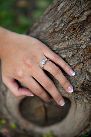2012 Foskett Creative 11-2-1440