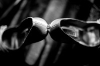 2012 Foskett Creative 11-2-2168