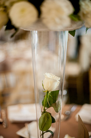 2012-11-3 Foskett Creative-5159