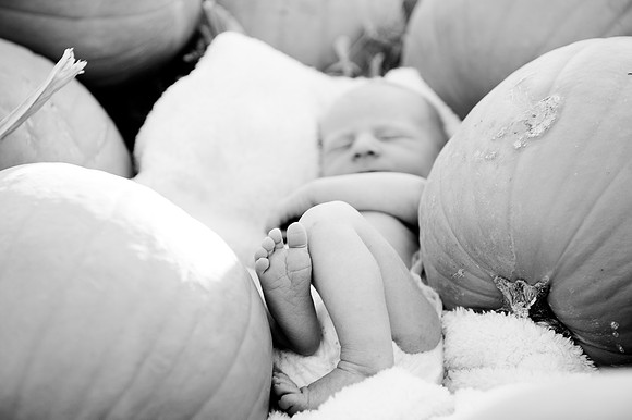 2011 Foskett Creative-1451