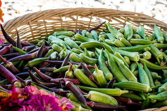 Phoenix Public Market-91