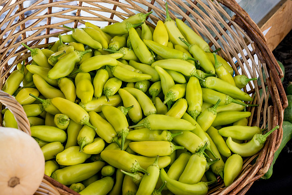 Phoenix Public Market-94