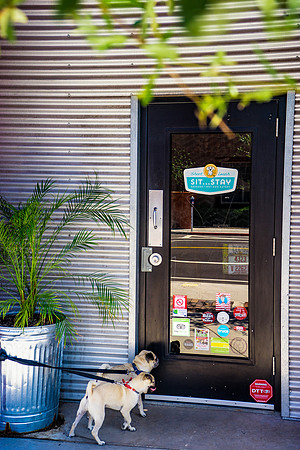Short Leash, Sit...Stay-574