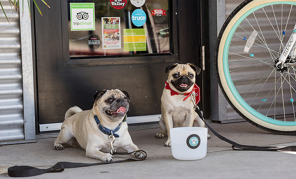 Short Leash, Sit...Stay-93