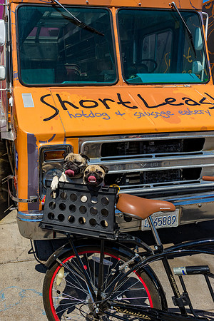 Short Leash, Sit...Stay-645