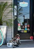 Short Leash, Sit...Stay-62