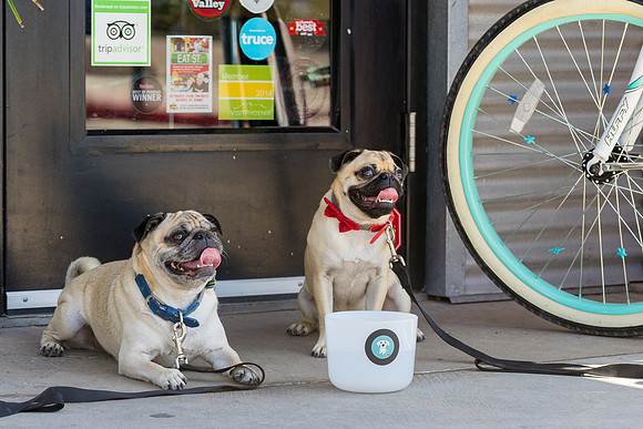 Short Leash, Sit...Stay-74