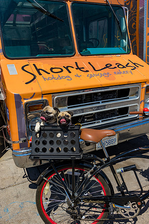 Short Leash, Sit...Stay-651