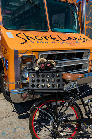 Short Leash, Sit...Stay-662
