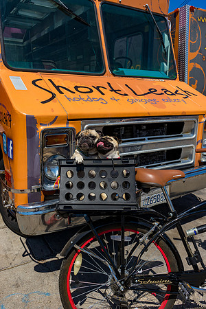 Short Leash, Sit...Stay-660