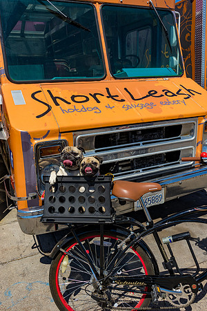 Short Leash, Sit...Stay-646