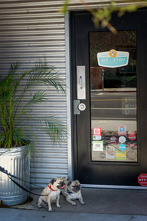 Short Leash, Sit...Stay-558