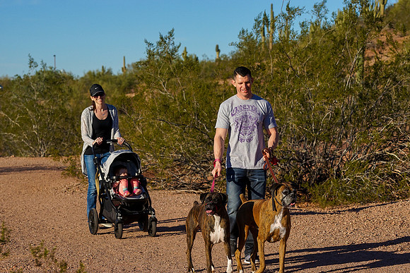Papago Park Hole in the Rock-51