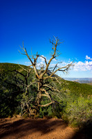 Fossil Creek-356