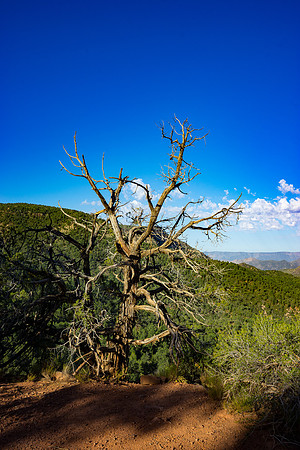 Fossil Creek-356