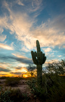 FoskettCreative2014-10-3693