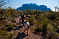 Horseback Riding Goldfield Ghosttown