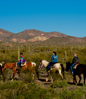 Horseback Riding Goldfield Ghosttown
