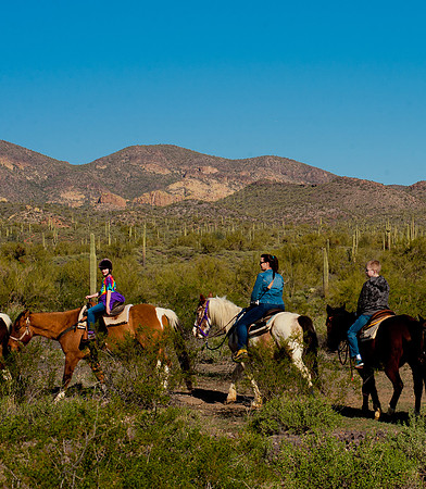 Horseback Riding Goldfield Ghosttown