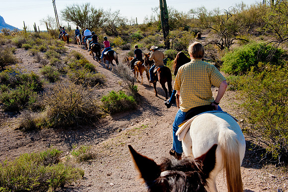 Horseback Riding Goldfield Ghosttown
